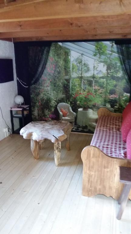 シャモニー Chalet L'Oursonヴィラ エクステリア 写真
